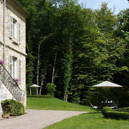 Chateau De La Houillere Bed & Breakfast Champagney Exterior photo